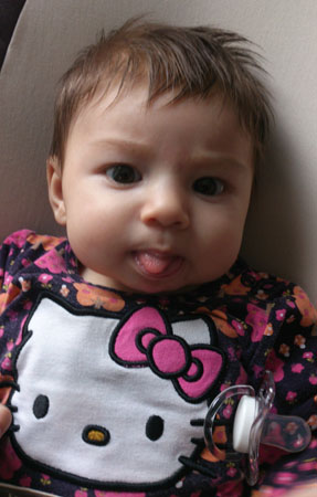 753 Livia im BabyBjörn