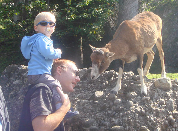865 Tierpark Goldau