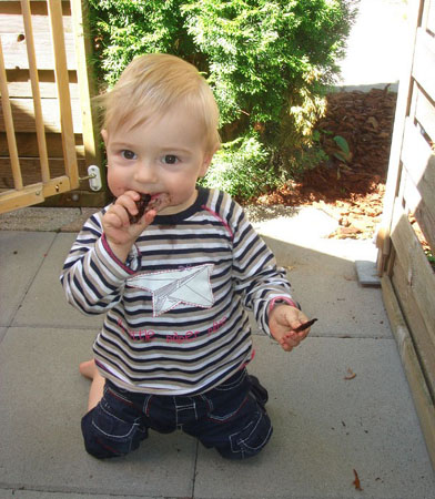 897 Vergleich Jonas 2011