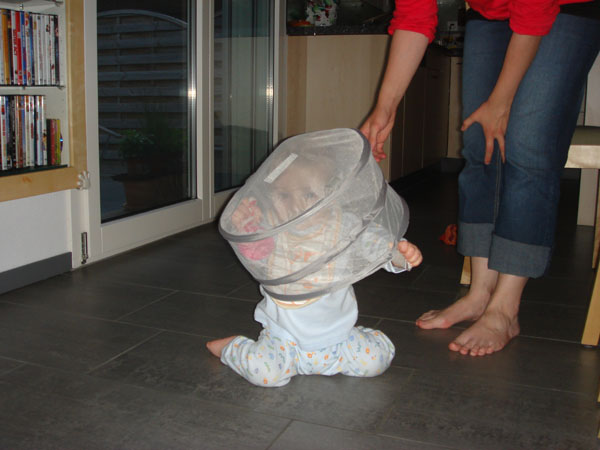 919 Jonas wird Imker