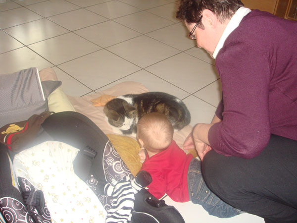 944 Schnurr nicht so laut!