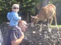 865 Tierpark Goldau