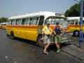 yellowbus.jpg (19954 Byte)